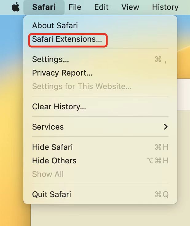 The security of Safari extensions